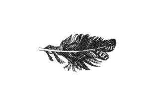 Feather Intricate: A Boho Embroidery Review
